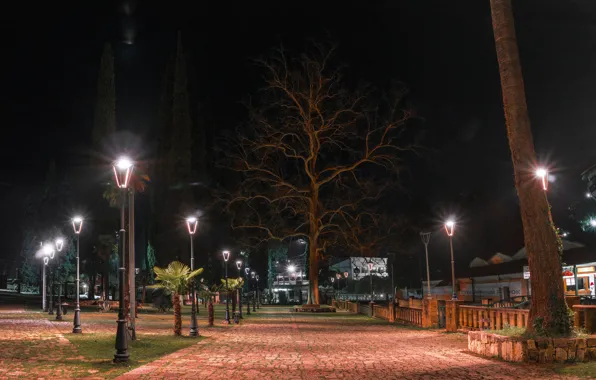 Картинка фонари, абхазия, новый афон, вечерний парк
