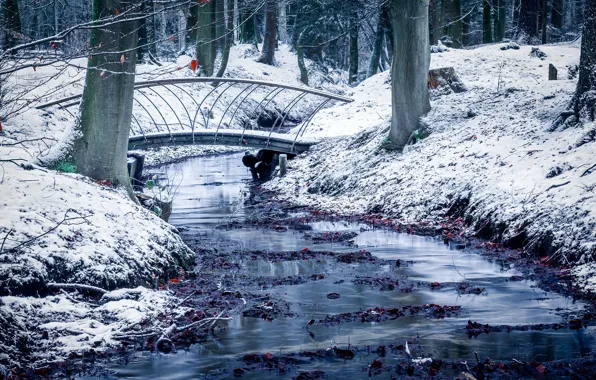 Снег, парк, Netherlands, Guelders, Velp