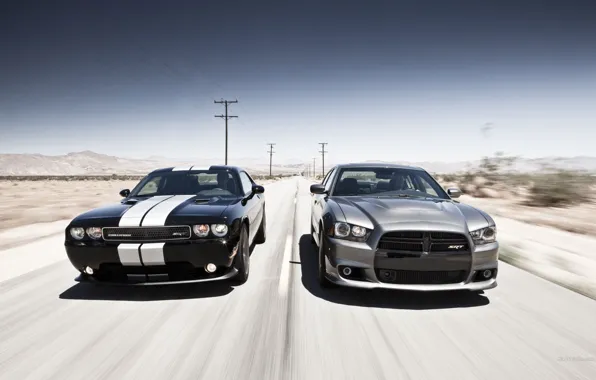 Дорога, гонка, srt, dodge, challenger