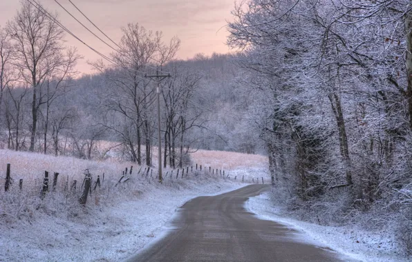 Зима, иней, дорога, свет, снег, пейзаж, природа, цвет