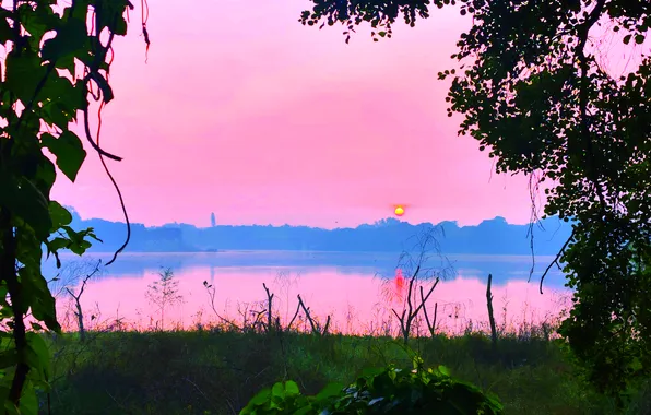 Sky, Grass, Water, Sunrise, Dawn, Morning, Lake, Trees