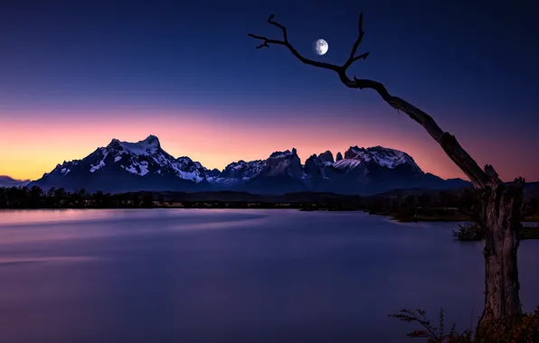 Горы, ночь, озеро, дерево, луна, Чили, Chile, Patagonia