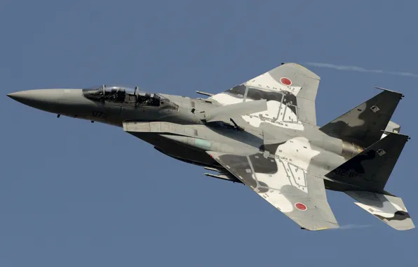 Небо, полет, истребитель, Mitsubishi, пилоты, ВВС Японии, F-15DJ