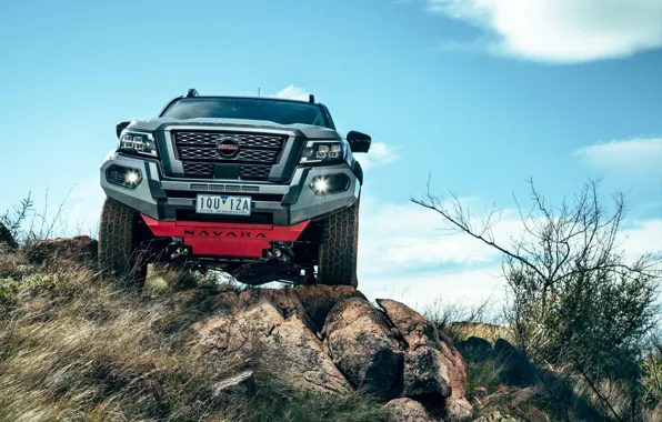 Картинка 2021, Nissan Navara, PRO-4X Warrior, Dual Cab, D23