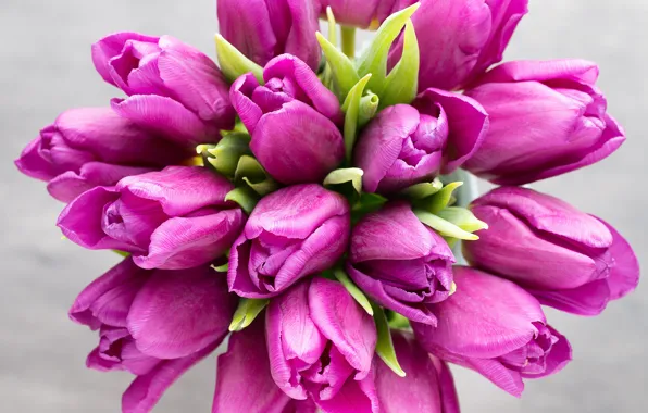 Цветы, букет, тюльпаны, розовые, fresh, pink, flowers, beautiful