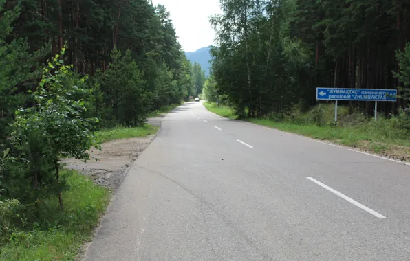 Природа, Дорога, Лес, Боровое