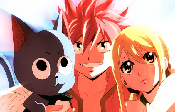 Кот, девушка, парень, Fairy Tail, Нацу, Люси, Хеппи, Хвост феи
