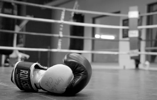 Glove, Boxing, Gym
