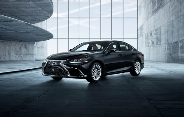 Lexus, седан, 2018, ES 250