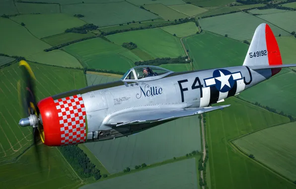 Thunderbolt, USAF, Истребитель-бомбардировщик, Вторая Мировая Война, P-47D Thunderbolt, P-47 Thunderbolt, Republic P-47D Thunderbolt