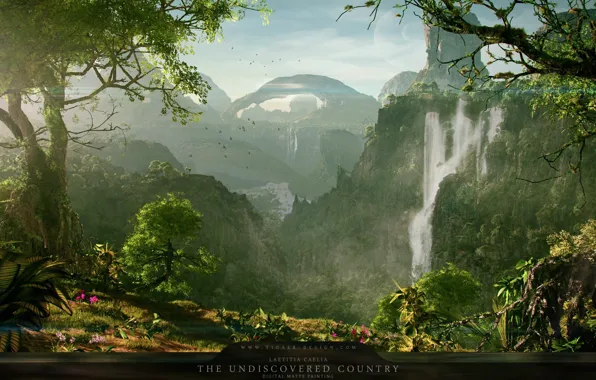 Birds, waterfall, the undiscovered country