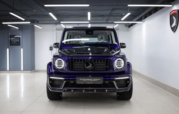 Mercedes-Benz, Mercedes, Front, G-Class, TopCar, W463, 2020, G350d