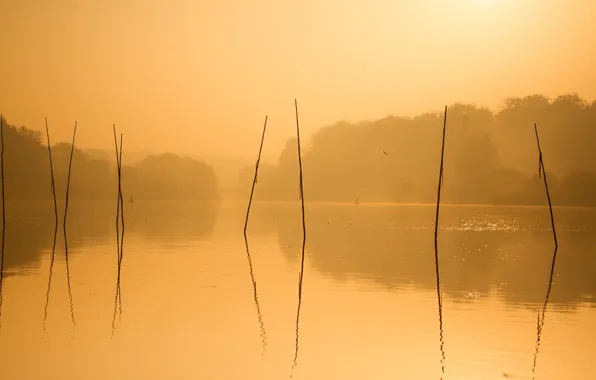 Пейзаж, озеро, утро