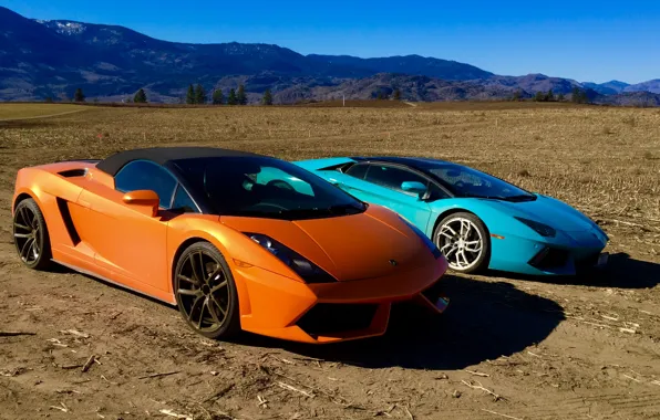 Поле, небо, горы, природа, земля, Orange, Gallardo, lamborghini