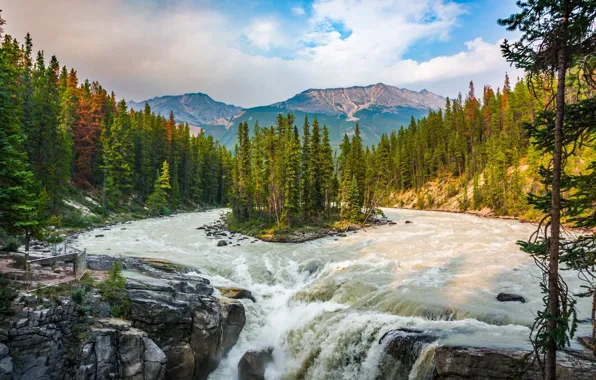 Деревья, река, остров, Канада, Jasper National Park, водопад Сануэпта