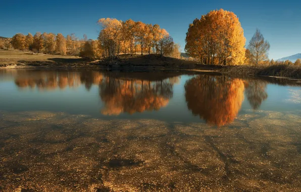Картинка осень, деревья, природа, озеро, отражение
