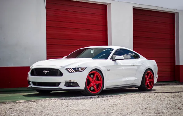 Mustang, Ford, White, Incurve, LP-5