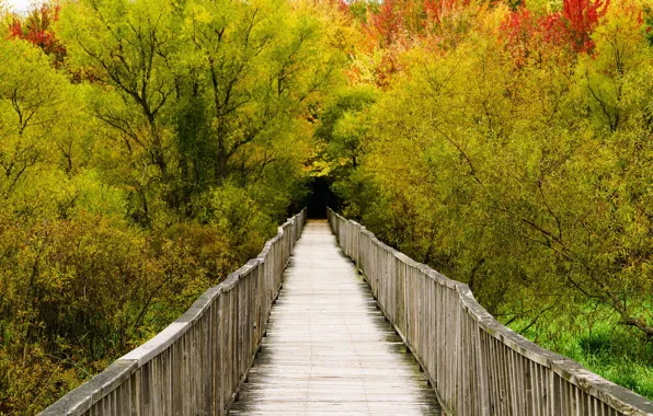 Осень, Canada, Quebec