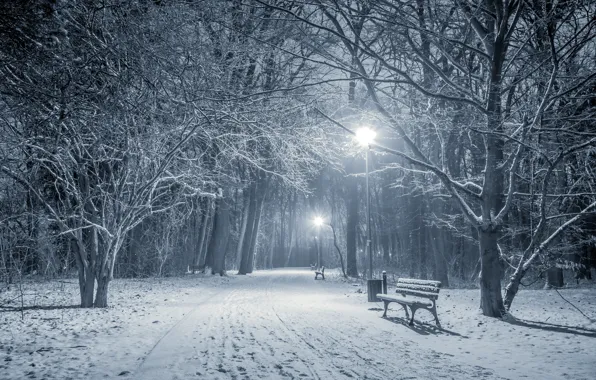 Картинка зима, снег, деревья, пейзаж, скамейка, огни, парк, фонари