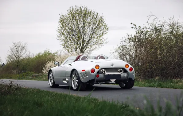 Картинка Spyker, 2004, C8, Spyker C8 Spyder