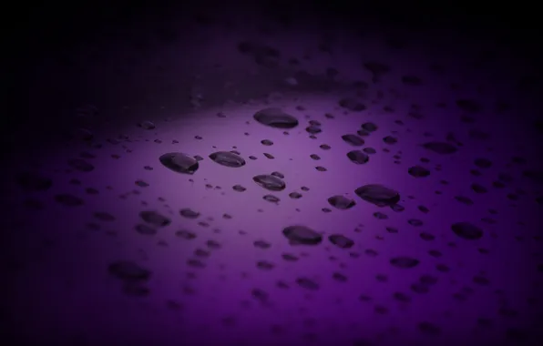 Картинка фиолетовый, вода, капли, макро, фон
