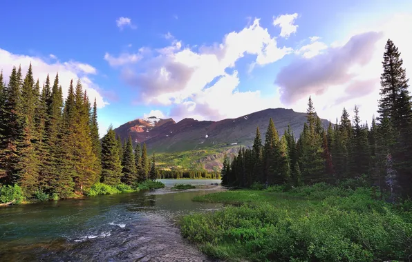 Картинка лес, небо, облака, горы, река