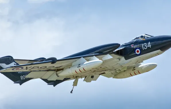 Небо, самолёт, летит, Sea Vixen
