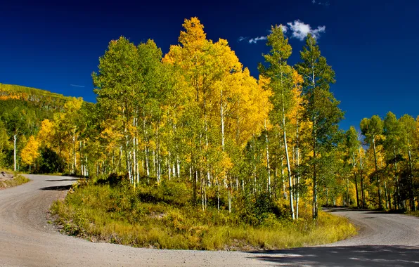 Картинка дорога, осень, лес, небо, деревья, поворот
