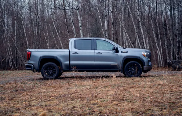 Картинка пикап, 2018, GMC, в профиль, Sierra, Crew Cab, 2019, Elevation