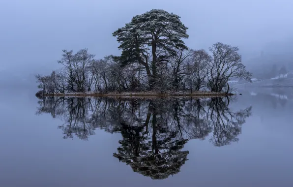 Деревья, озеро, отражение, Шотландия, островок, Scotland, Loch Awe, Лох-Эйв