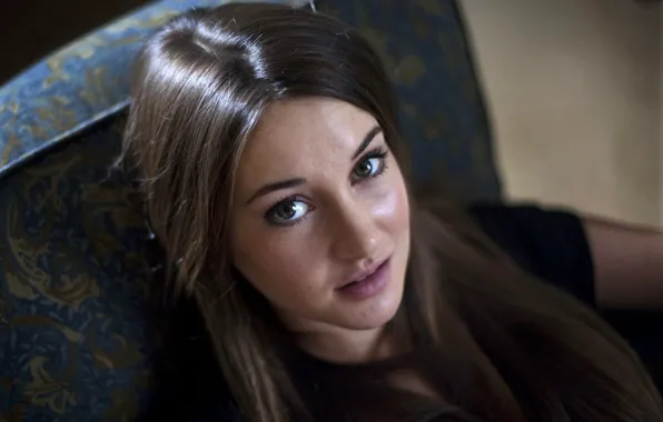 Взгляд, актриса, фотосессия, Shailene Woodley, Шейлин Вудли, потомки