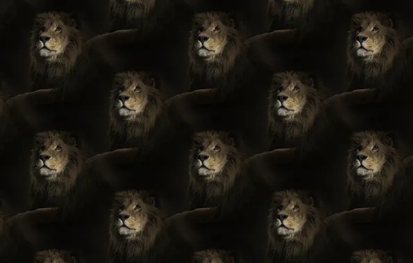 Картинка текстура, лев, царь, грива