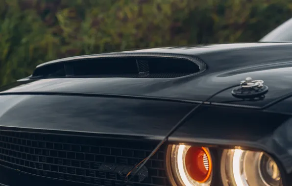 Car, Challenger, dodge, SRT, Demon