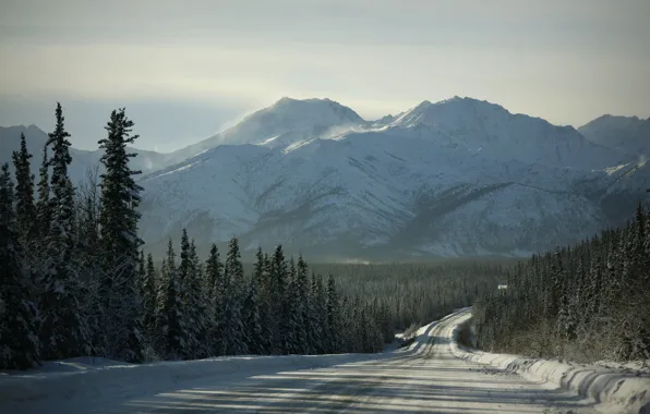 Картинка дорога, лес, снег, горы, природа
