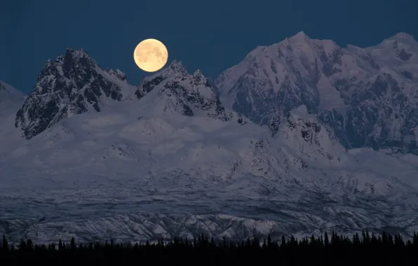 Картинка снег, деревья, горы, ночь, природа, скалы, луна, полнолуние