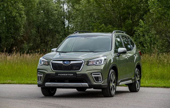 Subaru, кроссовер, Forester, пятидверный, 2019