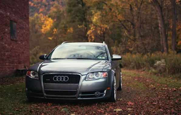 Картинка осень, Audi, ауди, листва, универсал