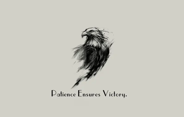 Картинка Eagle, minimalism, background, Victory, quote, Patience, simply background, Ensures