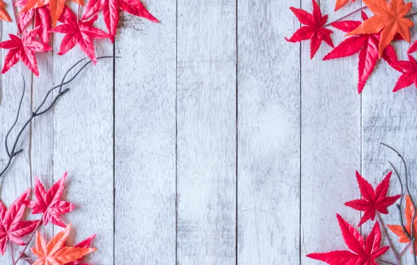 Картинка осень, листья, фон, дерево, red, клен, wood, background