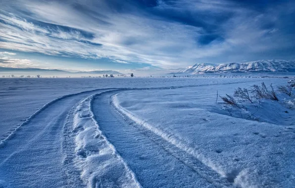 Картинка зима, дорога, снег, природа
