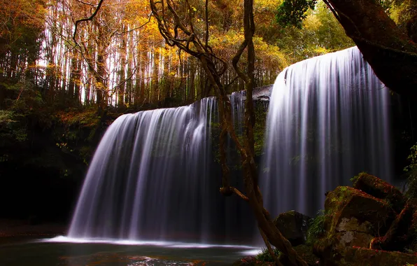 Лес, пейзаж, природа, камни, водопад, мох