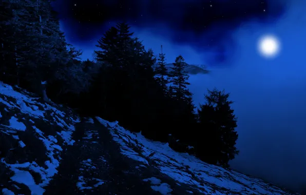 Картинка зима, лес, небо, снег, деревья, природа, туман, темнота