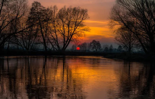 Картинка деревья, закат, отражение, река