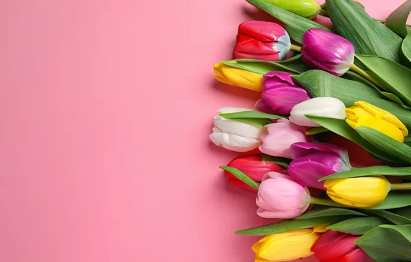 Цветы, букет, colorful, тюльпаны, flowers, tulips, spring, bouquet