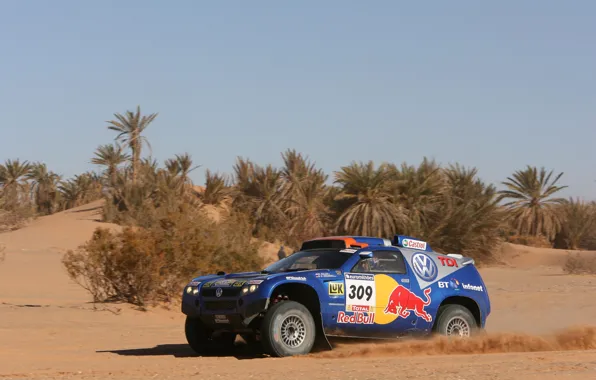 Песок, пальмы, Volkswagen, Touareg Race