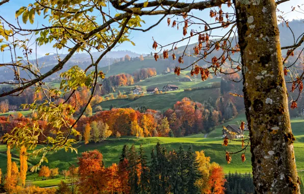Осень, деревья, горы, дома, склон, Альпы