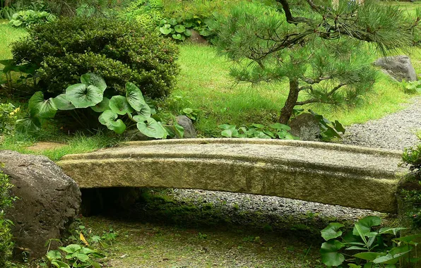 Картинка парк, дерево, куст, сад, дорожка, мостик, аллея, японский