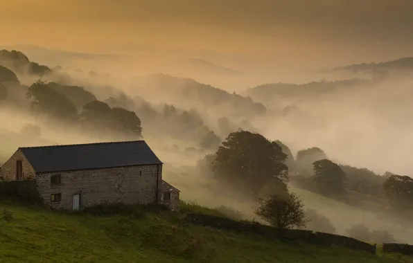 Картинка поле, пейзаж, туман, дом, утро