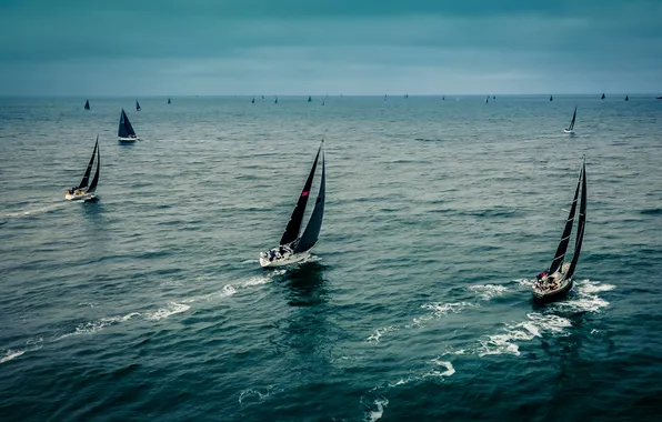 Море, движение, спорт, регата, спортивные яхты, гонка под парусами