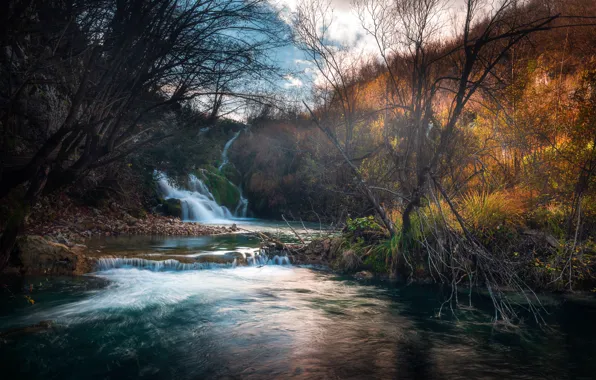 Nature, Croatia, Plitvice Lakes